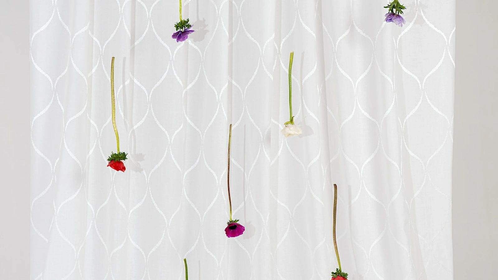 Fiordilino 01 Curtain by Acro Texture
