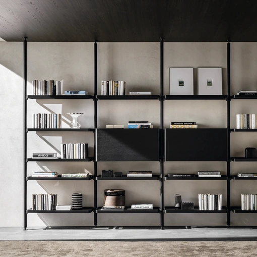 Hector bookcase in wood by Molteni & C