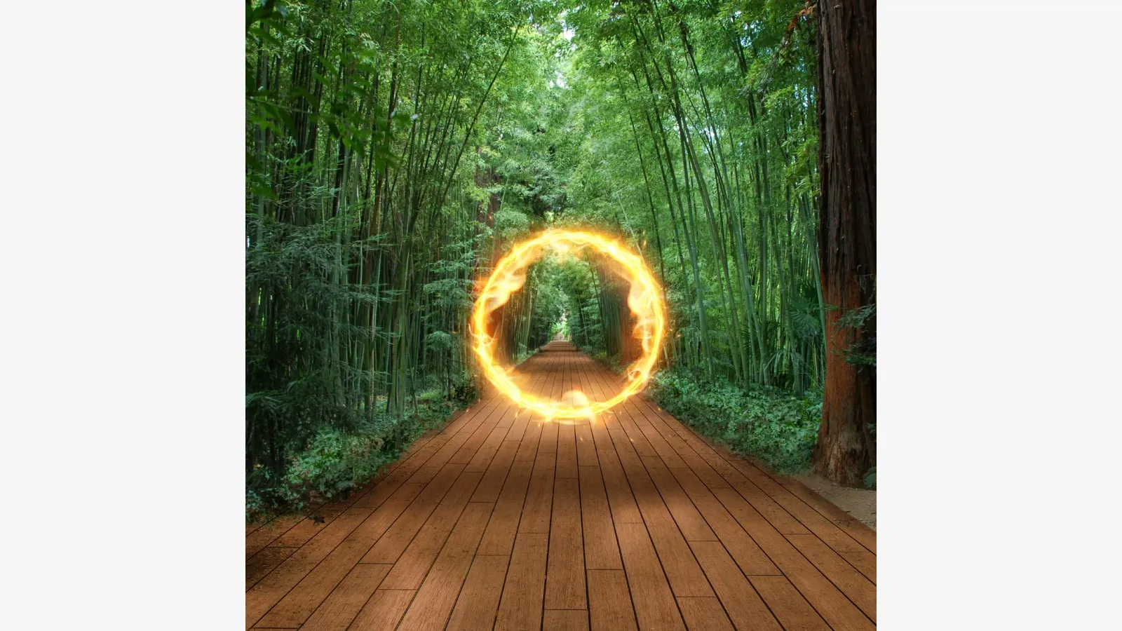 Parquet Panorama by Déco