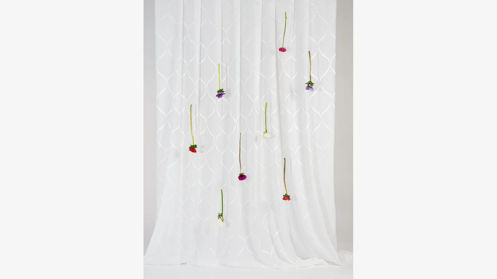 Fiordilino 01 Curtain by Acro Texture