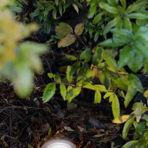 Lux Floor outdoor lamp by ILTI light