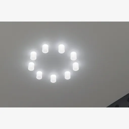 Reggiani's Mood Pro Fixed Round ceiling lamp