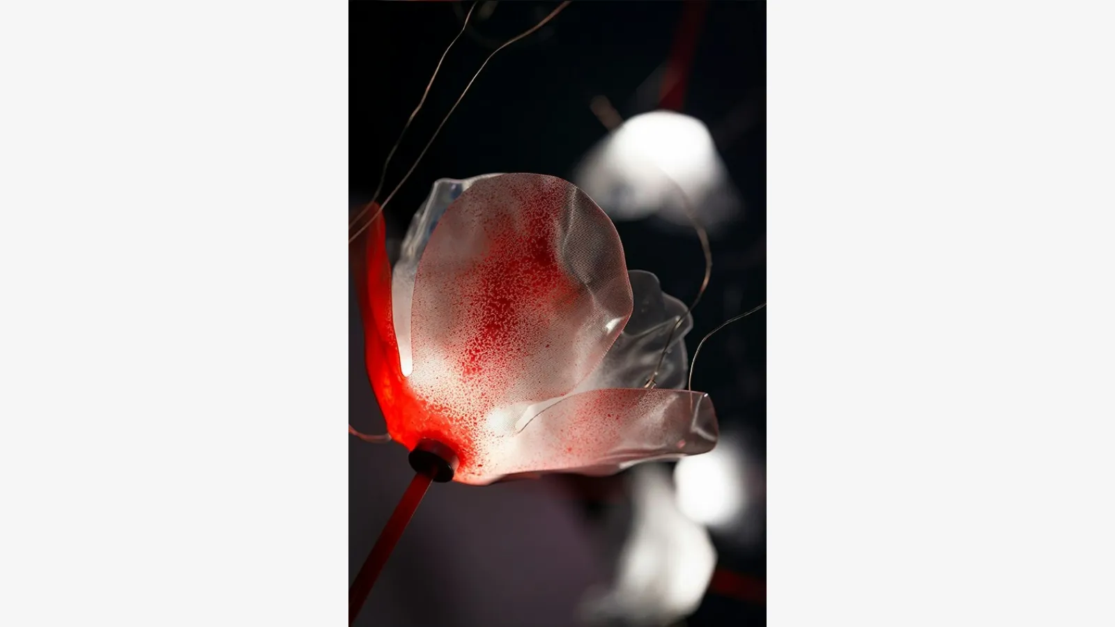 Poppy Suspension Lamp by Slamp