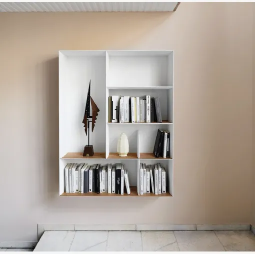 D-357-2 Wall-Mounted Bookcase by Molteni & C