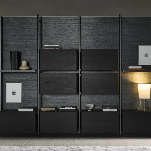 Hector bookcase in aluminum and wood by Molteni & C