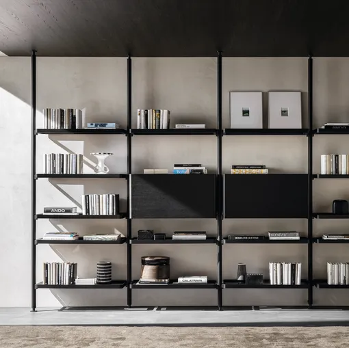 Hector bookcase in wood by Molteni & C