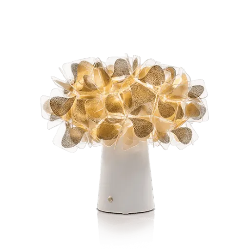 traduzione non possibile